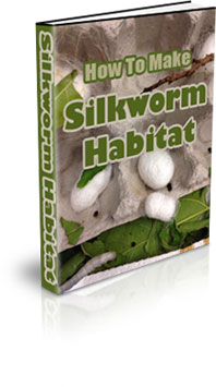 Raising Silk Worms For Profit
