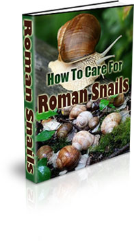 The How To Care For Roman Snails eBook