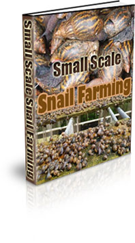 The Small Scale Snail Farming eBook
