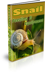 Snail Farming For Beginners At Home