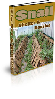 How Profitable Is Snail Farming