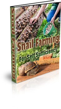 The Snail Farming For Self Sufficiency eBook