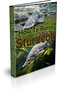 The Small Scale Sturgeon Farming eBook