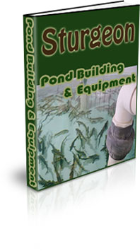 Sturgeon Farming In USA