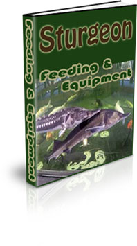 Farming Sturgeon For Caviar