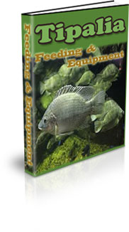 Features Of Tilapia Fish To Its Habitat