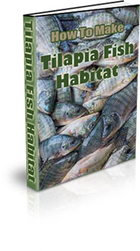 The How To Make A Tilapia Fish Habitat eBook
