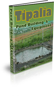 How To Set Up A Tilapia Fish Farm