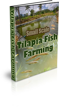 The Small Scale Tilapia Fish Farming eBook