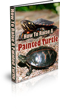 The How To Raise A Painted Turtle eBook