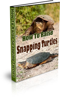 The How To Raise Snapping Turtles eBook