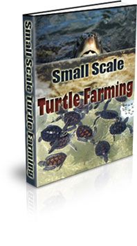 The Small Scale Turtle Farming eBook