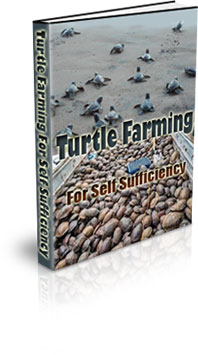 The Turtle Farming For Self Sufficiency eBook
