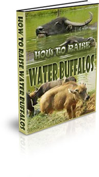 The How To Raise Water Buffalo eBook