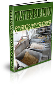 How To Setup A Water Buffalo Habitat