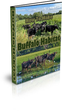 The How To Make A Buffalo Habitat eBook