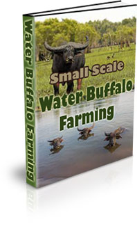 The Small Scale Water Buffalo Farming eBook