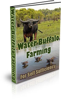 The Water Buffalo Farming For Self Sufficiency eBook