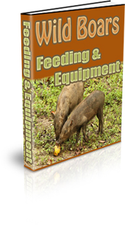 Wild Boar Habitat Conditions