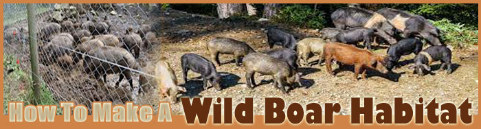 How To Make A Wild Boar Habitat