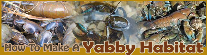 How To Make A Yabby Habitat