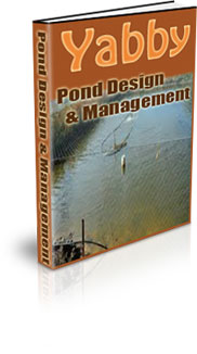 How Long Do Yabbies Take To Grow