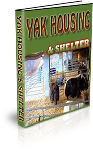 Yak Farming Tips