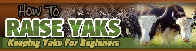 The Different Types Of Yaks Pens And Equipment