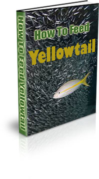 Where Do Yellowtail Fish Live