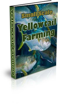 The Small Scale Yellowtail Farming eBook