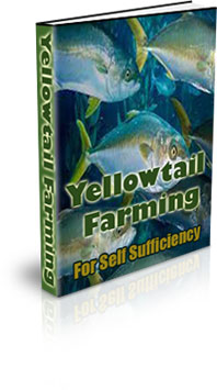 The Yellowtail Farming For Self Sufficiency eBook