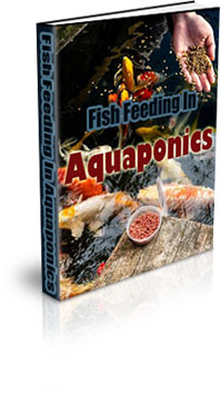 Diy Aquaponics For Beginners
