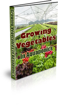 How To Construct An Aquaponics System