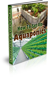 The How To Set Up Aquaponics eBook